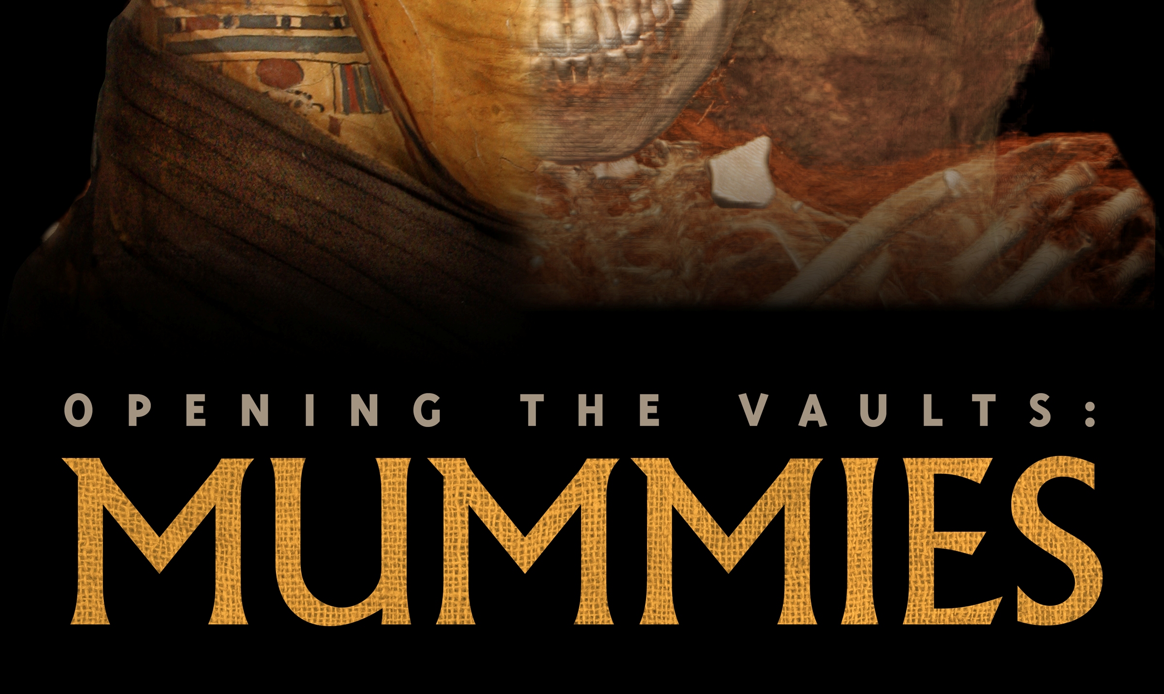 Mummies at The Field Museum Chicago News WTTW